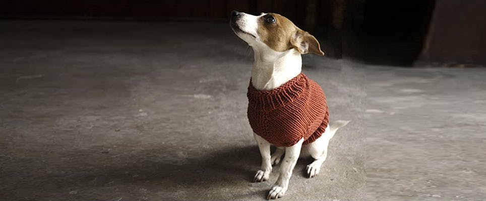 Knit with Alice: The Juno Jumper